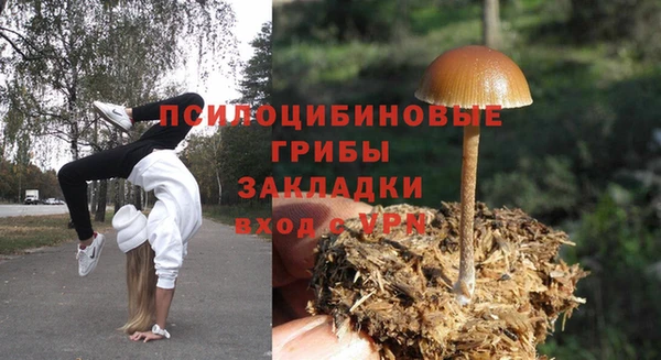 стафф Протвино