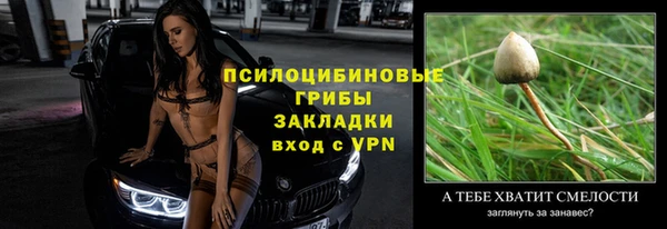 стафф Протвино