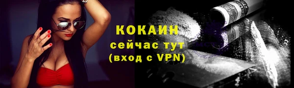 стафф Протвино
