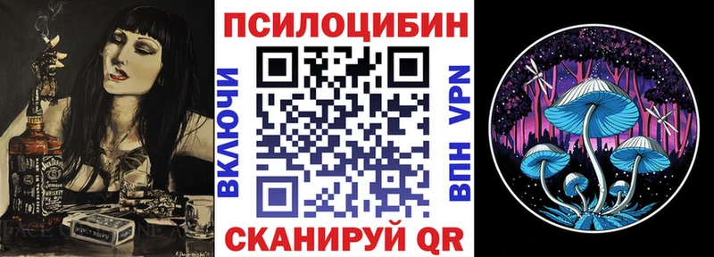 Псилоцибиновые грибы мухоморы  где найти   Темников 