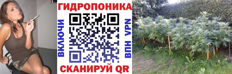 Канабис SATIVA & INDICA  Темников 